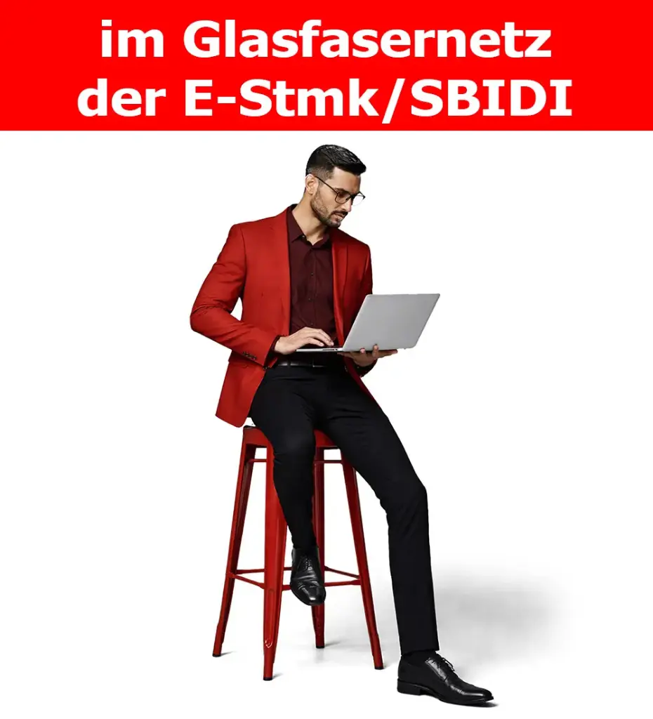 Fiber-Business STMK 300/300