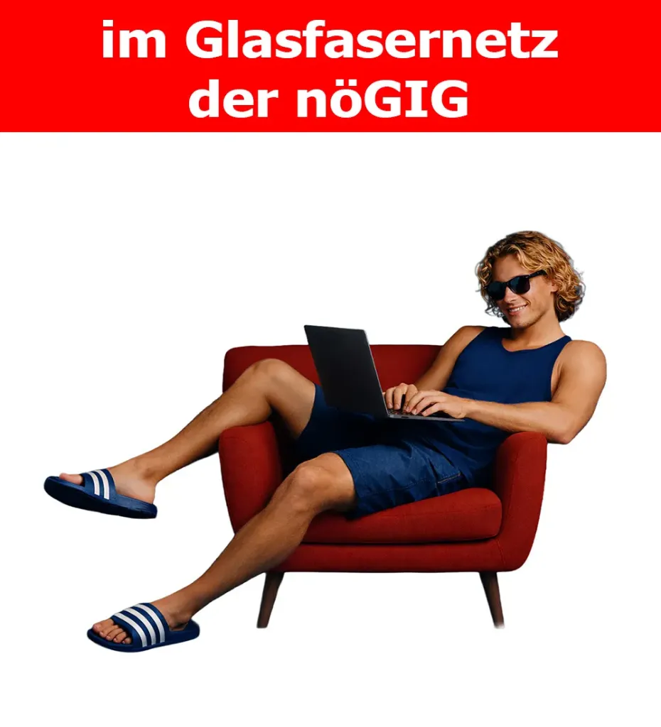 Fiber-Speed nöGIG 150/50