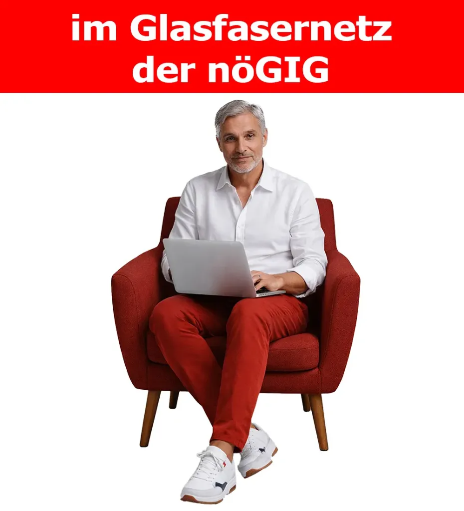 Fiber-Business nöGIG 500/200